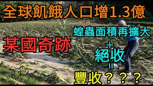 全球6.9亿人挨饿，某国今年夏季又丰收|蝗虫入侵云南面积继续扩大|各地抢收水泡粮#饥荒#粮荒#粮食#洪水#CC subtitle added