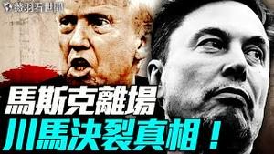 马斯克卸任顾问，DOGE改革何去何从？川普内部风波再起？｜薇羽看世间 20250531