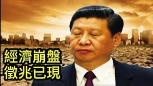 习近平经济国师唱衰中国经济，几种崩溃征兆已经在全国显现！民主派和反习派的机会来了！ （一平短评2021/12/6)