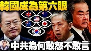 韩国成第六眼？中共此次不敢释放民族主义愤怒？怎么打？白宫国家安全中国主任竟有如此“红