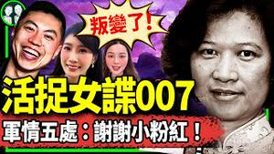 英国军情五处：终于抓获女共谍007李贞驹，圆脸姐威武！冷雪年卖咆哮文化衫，英国钢琴家亮了！（老北京茶馆/第10 95集/2024/01/31）