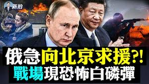 习近平敢帮普京吗？美已发出严重警告‼️ 俄招募4万叙利亚民兵，乌预计战争5月结束，认为俄罗斯撑不久；泽伦斯基将向美国会演说；白俄医院挤满俄军伤员｜新闻拍案惊奇 大宇