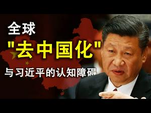 面对全球“去中国化”,习近平这一心理特征极为不利(政论天下第149集 20200411)天亮时分