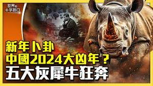 中国2024是大凶年，五大灰犀牛狂奔？2024年是习近平高危年？中共准备在哪发动军事冲突？三个理由，中共官场恶斗更惨烈？中国经济危在旦夕？（2023.12.20）｜世界的十字路口 唐浩