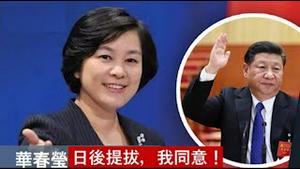 华春莹告御状,韩正谢峰中国不敢回，叛逃美国保余生《建民论推墙2577》