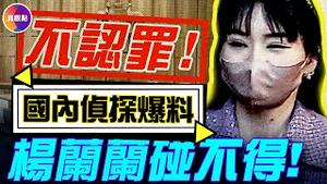 杨兰兰否认所有指控！检方举证爆漏洞，律师凭此帮她脱身？！杨兰兰坐牢的可能直降为0？！#真飞 #真观点