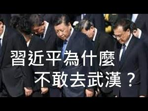 习近平不敢去武汉，绝对不是怕病毒！武汉市长周先旺多日没露面，是不是已经被抓了？ （一平快评74，2020/02/03）https://youtu.be/L7WRePD-cGc