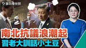 🔥12月1日全面放开？从放开清零看美中关系变化；南广州，北郑州，抗议浪潮席捲中国？｜薇羽看世间 第571期 20221116