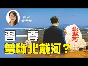 【第108期】中共官媒报导2035规划，却不提习核心。习一尊的地位、连任三届的梦想，在北戴河会议上被妥协了？| 薇羽看世间 20200814