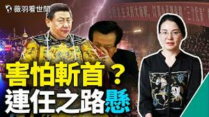 为中共唱讚歌的政治老师被河南坑了。习近平大权在握？赢了上海赢香港？行程暴露习近平真正实力。｜薇羽看世间 第501期