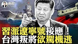 习近平🇻🇳访越受辱！越南经济牛了！中共特勤局高官疑被“李克强式送走”；湖.北.警.密集暴亡，重庆殡仪馆业务增多，高官不打自产Y苗，靠大力消毒维持；中共1500万美元引诱台湾叛将｜新闻拍案惊奇 大宇