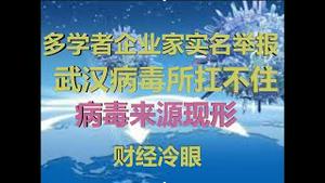 财经冷眼：多学者企业家实名举报，武汉病毒所扛不住了，病毒来源现形！（20200205第143期）