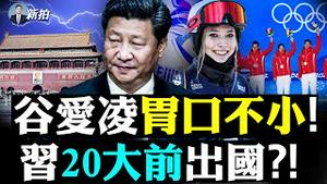 💥八孩母事件“闹到”公安部！大批警察看守，两女探望遭劫；徐州相亲，1女看20男；多国冬奥翻船，赢中国就犯规？韩国激烈抗议；中纪委专访谷爱凌；俄高级将领要普京辞职；郑州“鱼坚强”｜新闻拍案惊奇 大宇