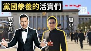 甄子丹专访支持中共镇压香港，批判外媒！周小平当选全国政协委员，五毛大V上位成功！时代真的变了...