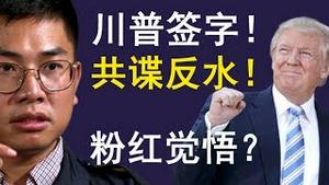 特朗普签署香港人权法案！香港民意大胜，共谍王立强反水，粉红觉悟？（老北京茶馆/第208集/2019/11/27）