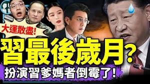 习近平进入任人欺负的垃圾时间？四中全会将被强制下课，盼世界大乱？靳东倪妮扮演习父母后倒霉？林向阳走了、马云来了！（老北京茶馆/第1295集/2024/12/04）