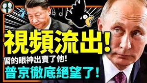 习普会震撼视频流出！普京彻底绝望了？习近平赴俄带货失败，美国正式呼吁执行战犯逮捕令！（老北京茶馆/第906集/2023/03/22）