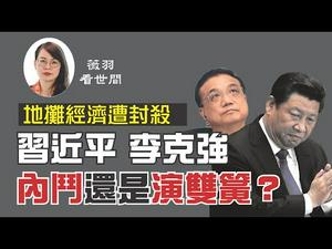 【第51期】习近平视察贫困地区，李克强鼓励的地摊经济突然叫停，是习李内斗的开始，还是演的双簧戏？ |  薇羽看世间 20200610（字幕）