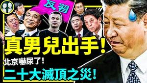 北京四通桥标语火遍全世界！二十大燃点竟是另一位真男儿！习近平遭正面喊停？靠404可以保党吗？（老北京茶馆:第812集:2022:10:13）