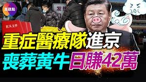 🔴党官都救不过来, 3个月死24位院士, 北大死98老师, 特供的“长寿秘诀”不灵了? 红头文件急调“重症医疗队”进京支援! 北京丧葬黄牛兴起, 日赚42万!【20221222】