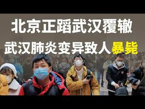 武汉肺炎病毒变异,人突然倒地毙命,传染性暴增,北京市是否会重蹈武汉复辙?(政论天下第93集 20200124)天亮时分