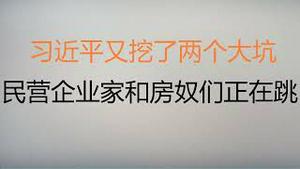 财经冷眼： 中央经济工作会议是“定心丸”还是“崔命丸”？习近平又挖了两个大坑，大量民营企业家和房奴们正在跳！（20221219第936期）