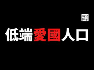 【公子时评】环球时报“反送中”英雄记者付国豪买不起房，被迫辞职离京！香港抗争者拒当党国韭菜炮灰，中国低端人口不减爱国情怀？