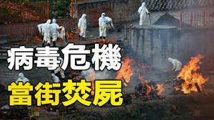 🔥🔥惨❗尼泊尔当街焚尸   变种病毒爆发大危机 ❗❗