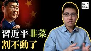 中国商业信心指数暴跌，股市不振，习近平韭菜不好割了！乌克兰严重「辱华」，大秀台湾和港独国旗..