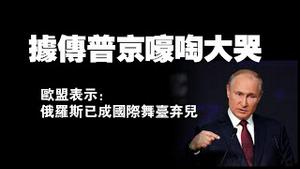 据传普京嚎啕大哭。欧盟表示：俄罗斯已成国际舞台弃儿。2022.12.29NO1689#普京#泽连斯基#乌克兰#俄罗斯