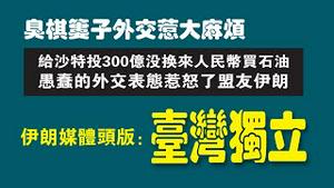 臭棋篓子外交惹大麻烦。给沙特投300亿没换来人民币买石油，愚蠢的外交表态惹怒了盟友伊朗，伊朗媒体头版：台湾独立。2022.12.14NO1663