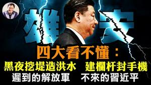 雄安这个秘密至今未敢公开；习近平从不现身灾区的真相，军队72小时黄金救援期一过就进场，不为救人为什么而来？政府夜扒堤坝捉现行；民间救援队遭灾民不解委屈离开【江峰漫谈20230803第707期】