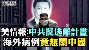 💥武汉封城或到3.25，吿民众储物资，人憋到喊；1949后大危机！习近平承认；中南海病毒环伺，云南虫灾；华南市场非武汉肺炎源头；林郑密件曝光；意大利也封城 |新闻拍案惊奇 大宇