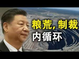 习近平批示凸显粮荒;中资银行忙着执行美国制裁决定;汽车工业也要内循环?(政论天下第213集 20200812)天亮时分