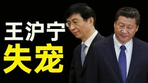 惊奇，王沪宁失宠！习近平开始摆脱他。拜登躲在左媒庇护下，躺着选就能赢？变数莫测