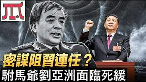 刘亚洲死缓？习近平整肃中共驸马爷是反腐需要还是政治需要？《建民论推墙1957》