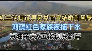 刘鹤家族红三代男日本翻车！京油子大V五散彻底翻车！