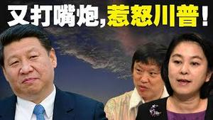 胡锡进华春莹给党上眼药！特朗普：怎么惩罚中共我先不说！中共农业部的温情警告！（老北京茶馆/第289集/2020/04/16）