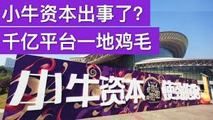 小牛资本倒下, 千亿平台一地鸡毛/中国疫情急转直下, 黑龙江全省应急状态(字幕)/Neo Capital Is Under Investigation/王剑每日观察/20210114