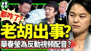 胡锡进紧急声明拥护党！华春莹为反动视频配解说词？崔天凯公开反东昇西降；“历史的垃圾时间”战狼乱了！（老北京茶馆/第1195集/2024/07/13）