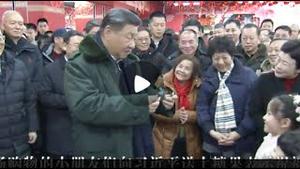 习近平忽访北部战区，张又侠现身。防暗算！习连小孩递糖都不敢吃。习讲话暗示俄国随时翻脸。王毅跟鲁比奥通电话，谎称应约，编造对话