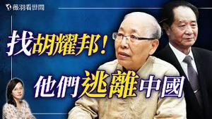 胡耀邦出手相助！王炳章妹妹谈王家逃离中国的曲折经历。【专访王玉华】｜薇羽看世间 20250101