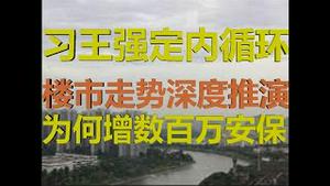 财经冷眼：内循环下楼市断头铡，再不卖就砸手里了！增700万安保警察的信号！（20200731第299期）