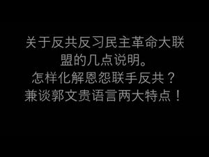 关于反共反习民主革命大联盟的几点说明。怎样化解恩怨联手反共？兼谈郭文贵语言的两个特点。（一平论政58）