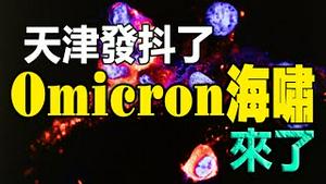 🔥🔥天津发抖了❗Omicron海啸来了❗澳大利亚占星师曝：奥密克戎，早在400年前就被预言了❗