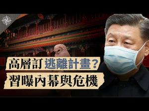 [Eng]【解读】习近平召开罕见大会 曝光疫情内幕与危机？美情报部门：中共高层拟撤离中南海；香港频传人员晕倒抽搐，病毒惹的祸？(2020.2.24)｜世界的十字路口 唐浩