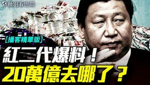 中共红色资本外逃20万亿！太子党内讧全面爆发？｜薇羽看世间【播客精华版】 20250703