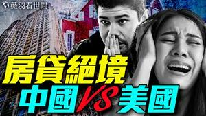 中美房贷大比拼：谁才是真正的保障？盛世蝼蚁！中国房市下的普通人悲歌｜薇羽看世间 20250510