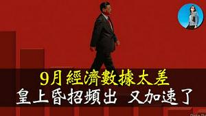 9月份经济数据来了，终于明白皇上为什么突然拉A股、置换地方债！这轮国家队到底割了多少A股韭菜，答案都在金融数据里！｜小翠时政财经 [20241015#605]