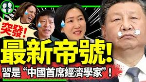 习近平获封“中国首席经济学家”，毛宁公开向美国认怂！股市陷最严重抛售，胡锡进被套牢？罚款收入推动经济！（老北京茶馆/第1204集/2024/07/24）